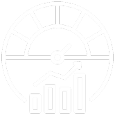 An Executive Summary